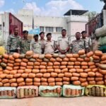 कबीरधाम में 5 करोड़ का गांजा पकड़ा! ओडिशा से राजस्थान जा रही 9 क्विंटल की खेप जब्त