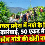 अरुणाचल प्रदेश में नशे के खिलाफ बड़ी कार्रवाई, 50 एकड़ में फैली अवैध गांजे की खेती नष्ट